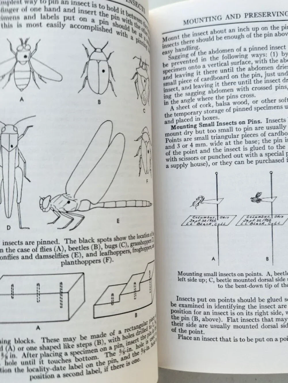 Peterson Field Guide Insects of America North of Mexico Vintage Book Entomology
